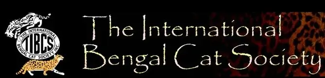 bengal cat society facebook